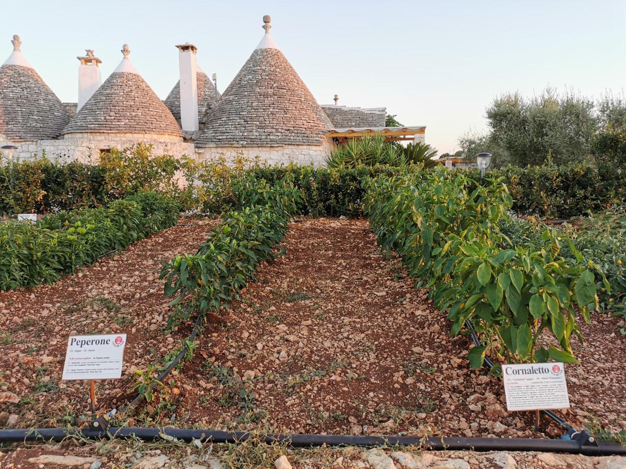 Gasthaus Trulli Il Castagno Martina Franca Exterior foto
